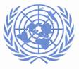 United Nations Logo