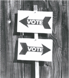 to vote or not to vote?