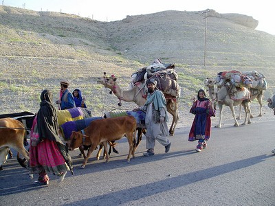 The Kuchi community