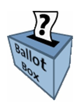 ask an election related question - get professional advice
