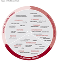 The Electoral Cycle