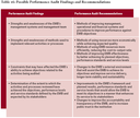 Possible Performance Audit Findings and Recommendations