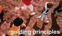 Guiding principles of electoral management