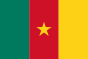 Drapeau du cameroun