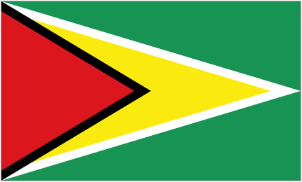 Flag of Guyana